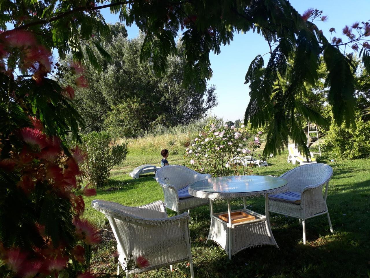 Aux Roses De L'Etang Hotel Капестон Екстериор снимка