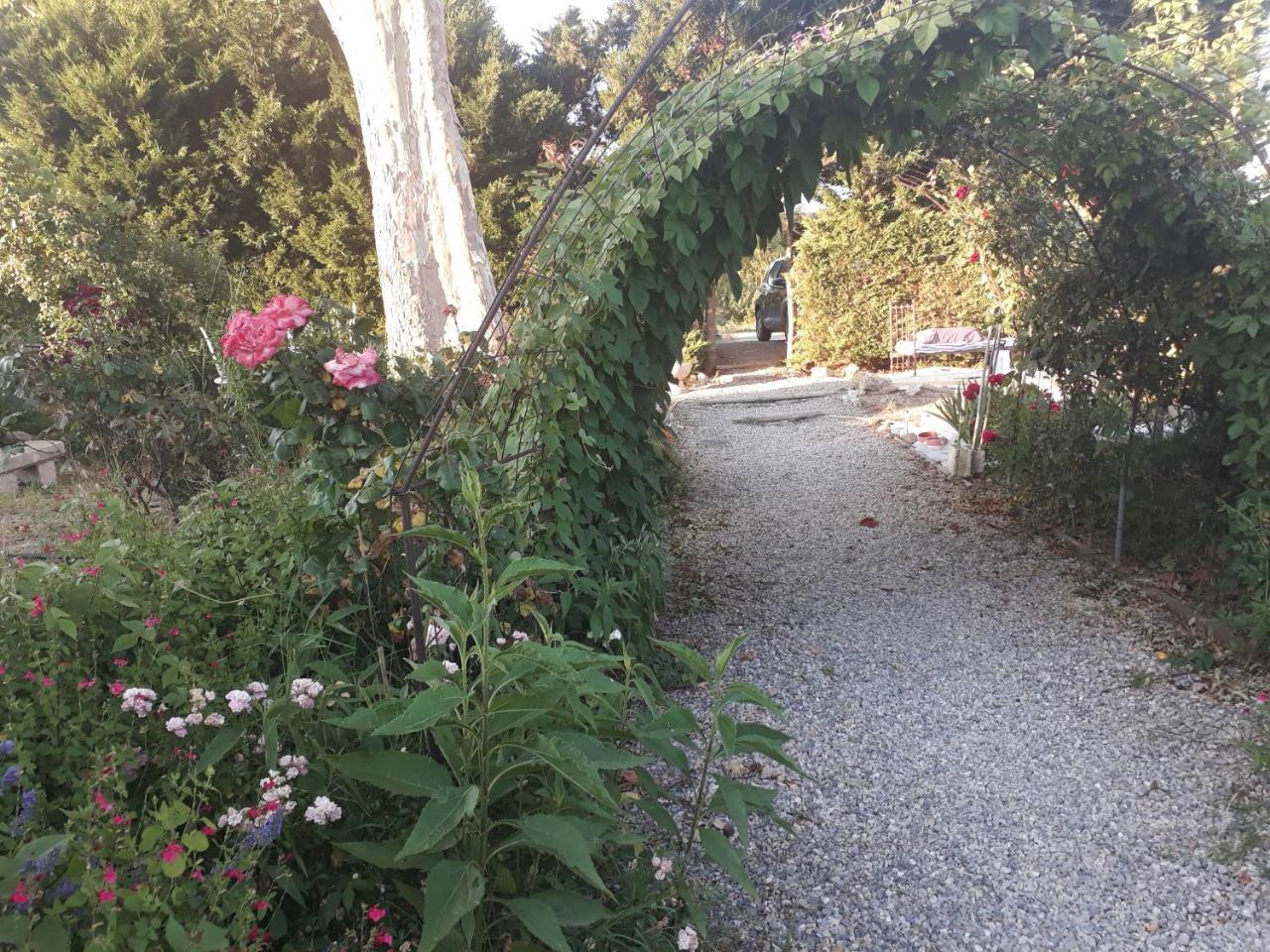 Aux Roses De L'Etang Hotel Капестон Екстериор снимка